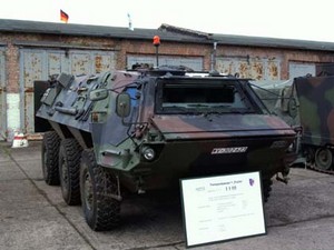 fuchs.jpg