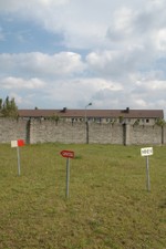 09170027.jpg